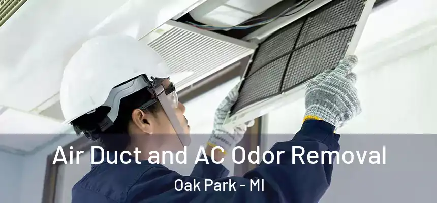 Air Duct and AC Odor Removal Oak Park - MI