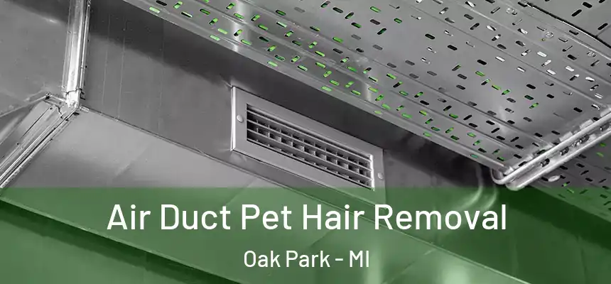 Air Duct Pet Hair Removal Oak Park - MI