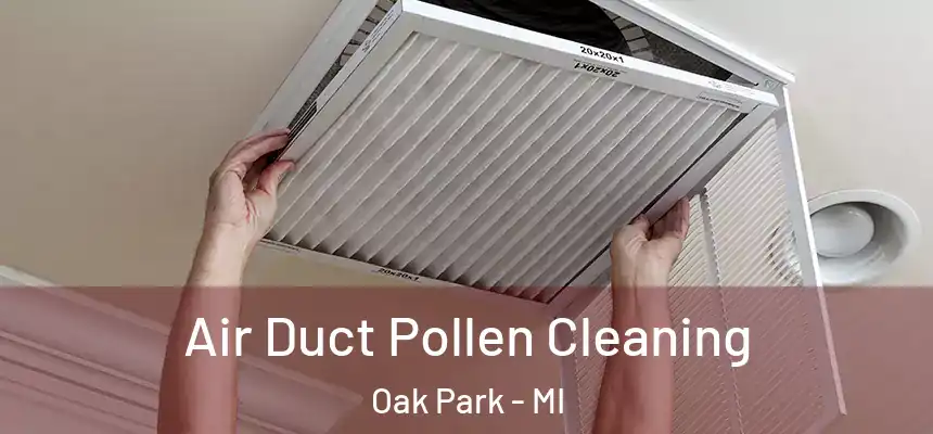  Air Duct Pollen Cleaning Oak Park - MI