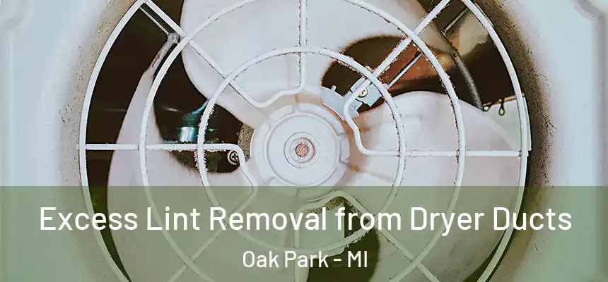  Excess Lint Removal from Dryer Ducts Oak Park - MI