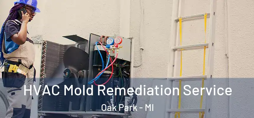  HVAC Mold Remediation Service Oak Park - MI
