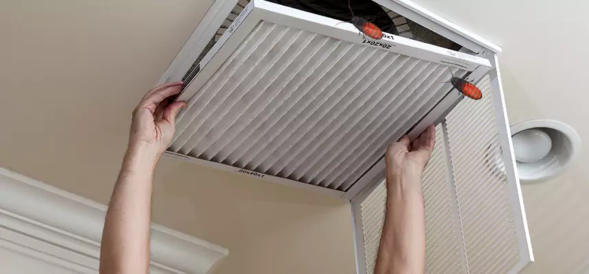 Preventive Cockroach-Proofing for Ducts in Oak Park
