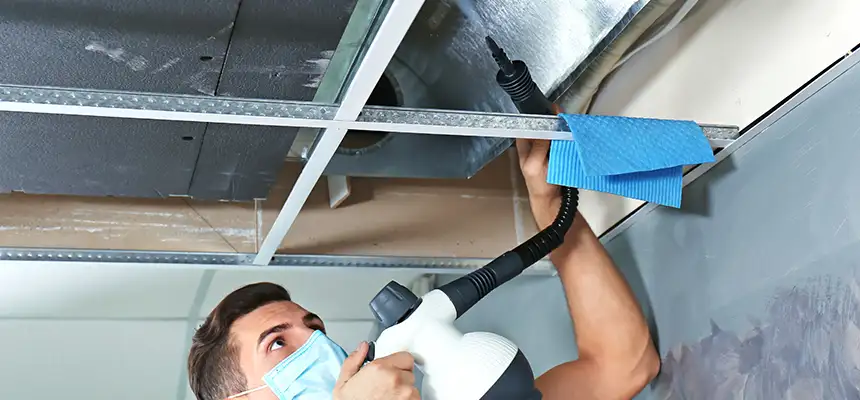 Our Air Duct Rodent Removal Services in Oak Park, MI