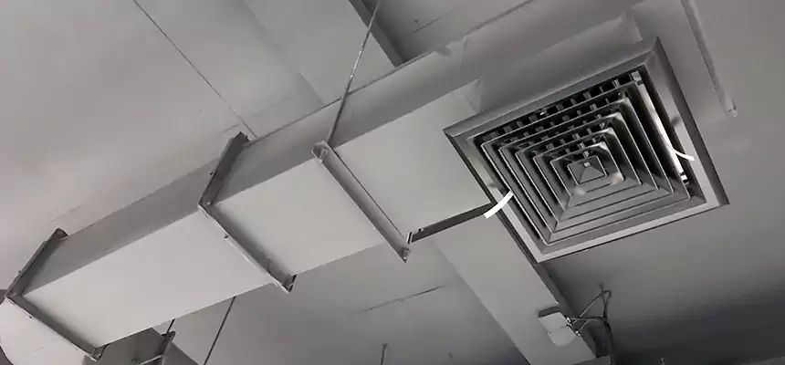 Our Pest Removal From Ducts Services in Oak Park, MI