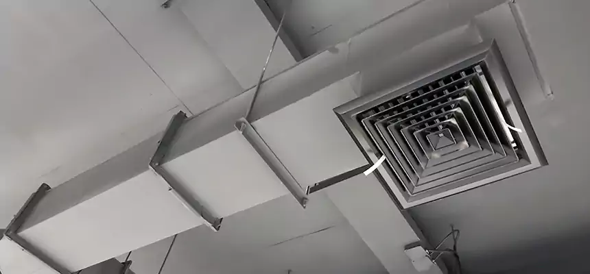 Our Rodent Droppings In Vents Services in Oak Park, MI