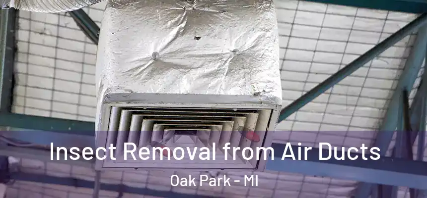  Insect Removal from Air Ducts Oak Park - MI