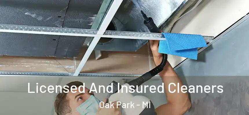  Licensed And Insured Cleaners Oak Park - MI