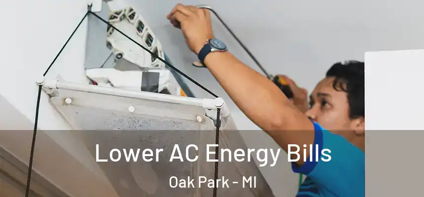  Lower AC Energy Bills Oak Park - MI