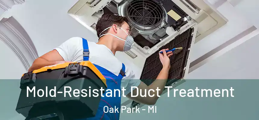  Mold-Resistant Duct Treatment Oak Park - MI