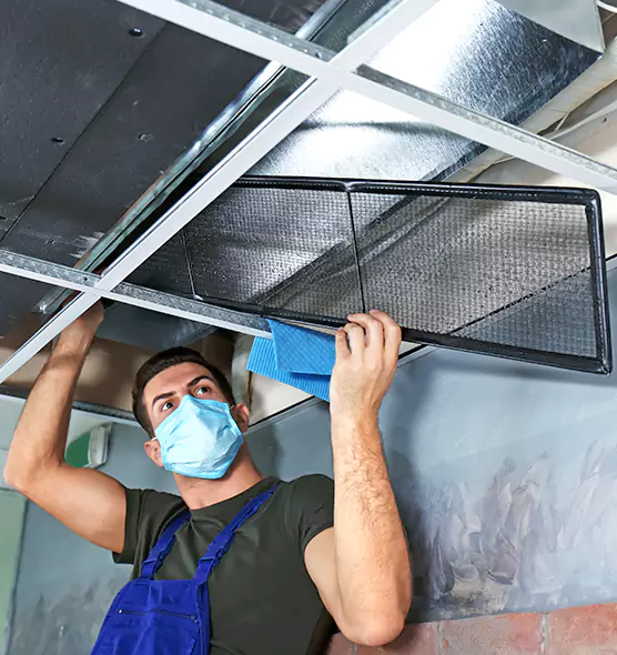 About Air Duct Bacteria Removal in Oak Park