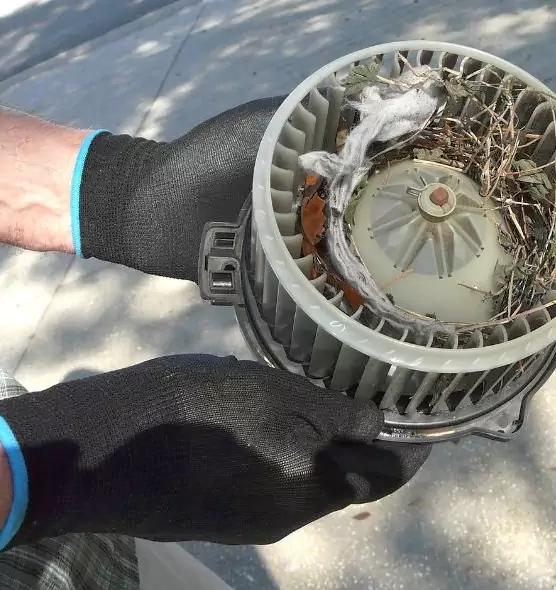 About Air Duct Mice Removal in Oak Park, MI