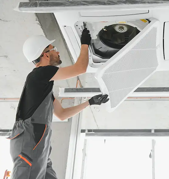 About Air Duct Rodent Removal in Oak Park, MI