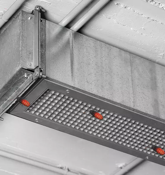 Affordable Insect Removal from Air Ducts in Oak Park, MI