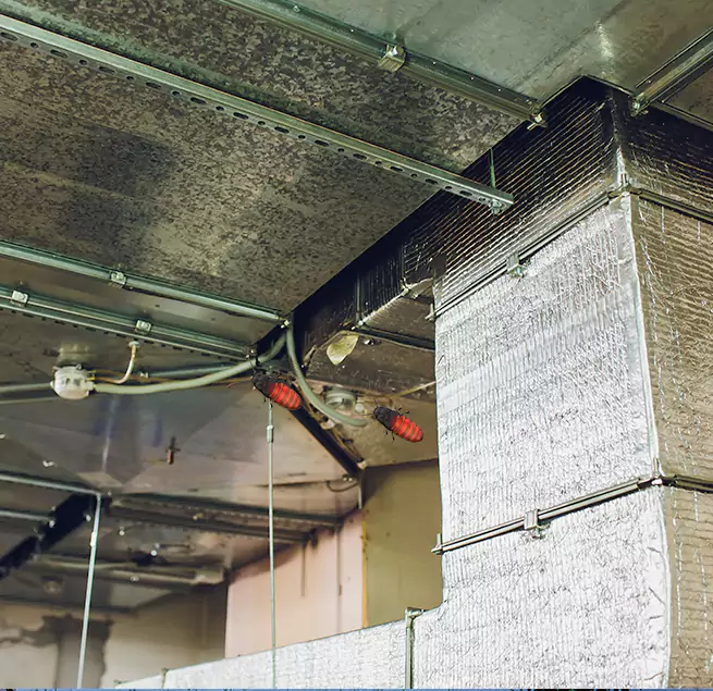 Why Homeowners & Businesses Trust Us in Oak Park, MI?