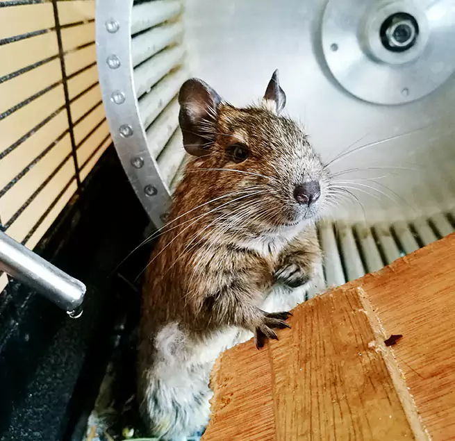 Why Homeowners & Businesses Trust Us Oak Park, MI?